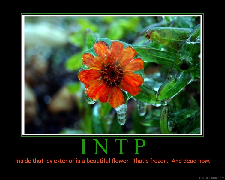 INTP